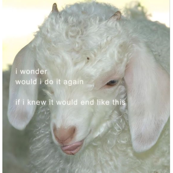 ୨୧