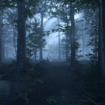 Dark Sols Studios