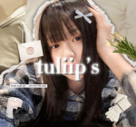 tuliip’s