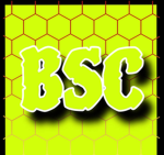 BSC community
