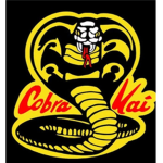 Cobra Kai karate Clan