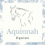 Aquinnah Equine