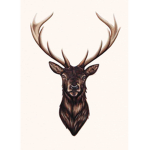 The White Elk Clothing