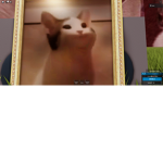 POPCAT FAN CLUB FR : )