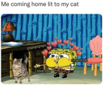 Mr. we