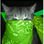 face pwner