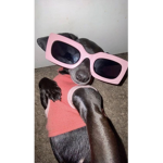 LAYXY
