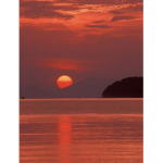 Strawberry. Sunsets