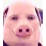 ﹺ ͅ