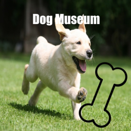 Dog Museum (Beta)