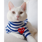 Kitty City Fan Club
