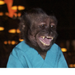 Dexter The Monke From Night At The Museum Dan Club