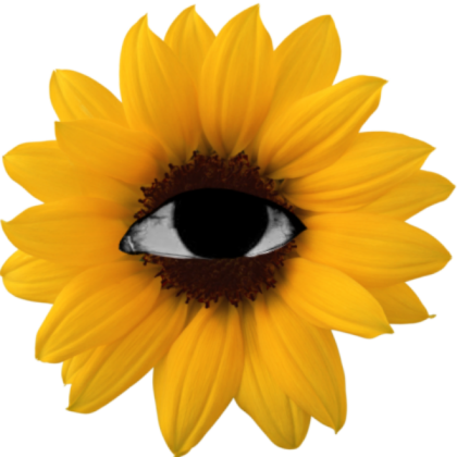 Weird girl Roblox decal