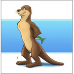 The sea otter fan club