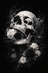 Phantom Creed