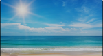 Da Awesome Ocean