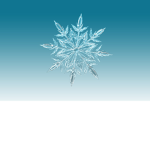 _snow 크루