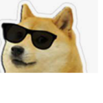 doge and kii and hijito group