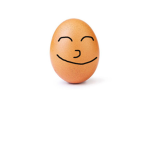 The Egg Foundation