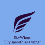 SkyWings Airline