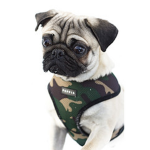 SASR [Special Air Service Regiment]