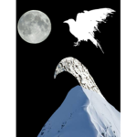 The_ 1st ravenchannel