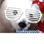 webkinz rule! fan group!!