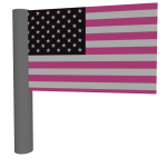 Pink Flag