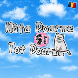 doarme pisica whatever