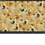 Epic DOGE DOG