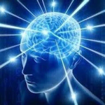 braincell's studio Group Thumbnail