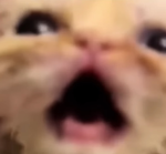 welcome to this thing