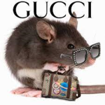 Gucci Rat