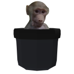 Monker In Your Pocket