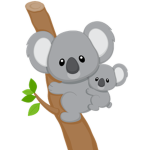 Baby Koala Bear Squad