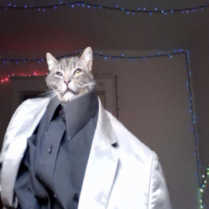cat in a suit Roblox decal