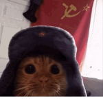 The Soviet Kitty’s