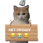 FunpayBRO