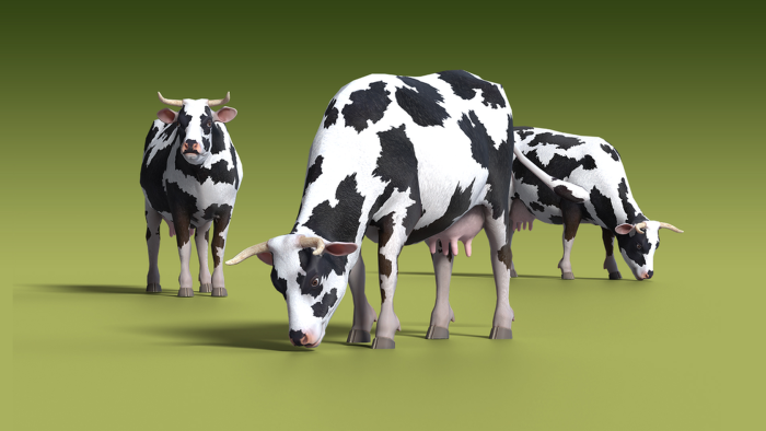 Low Poly Cow 3D Model Animated preview 1