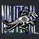 Nautıcal