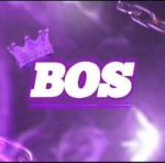 BOS | Blick On Sight