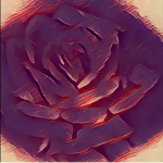The Violet Roses of the Night