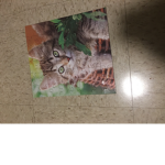 Cats for pizza’s