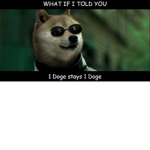 THE DOGE GROUP mk SWISSCOTTEGE