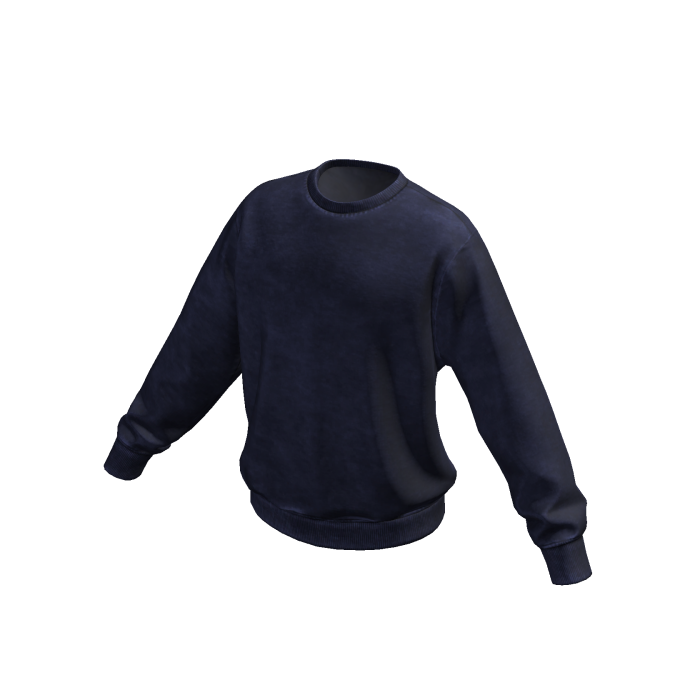 Navy Sweatshirt