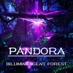 Pandora: Bioluminescent Forest