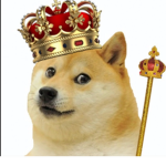 the kingdom of doges :3