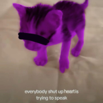 AmberzSillies