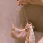 ✧･ﾟ: *✧･ﾟ:* 