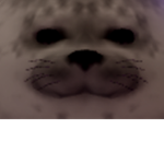 Hubert Respecc